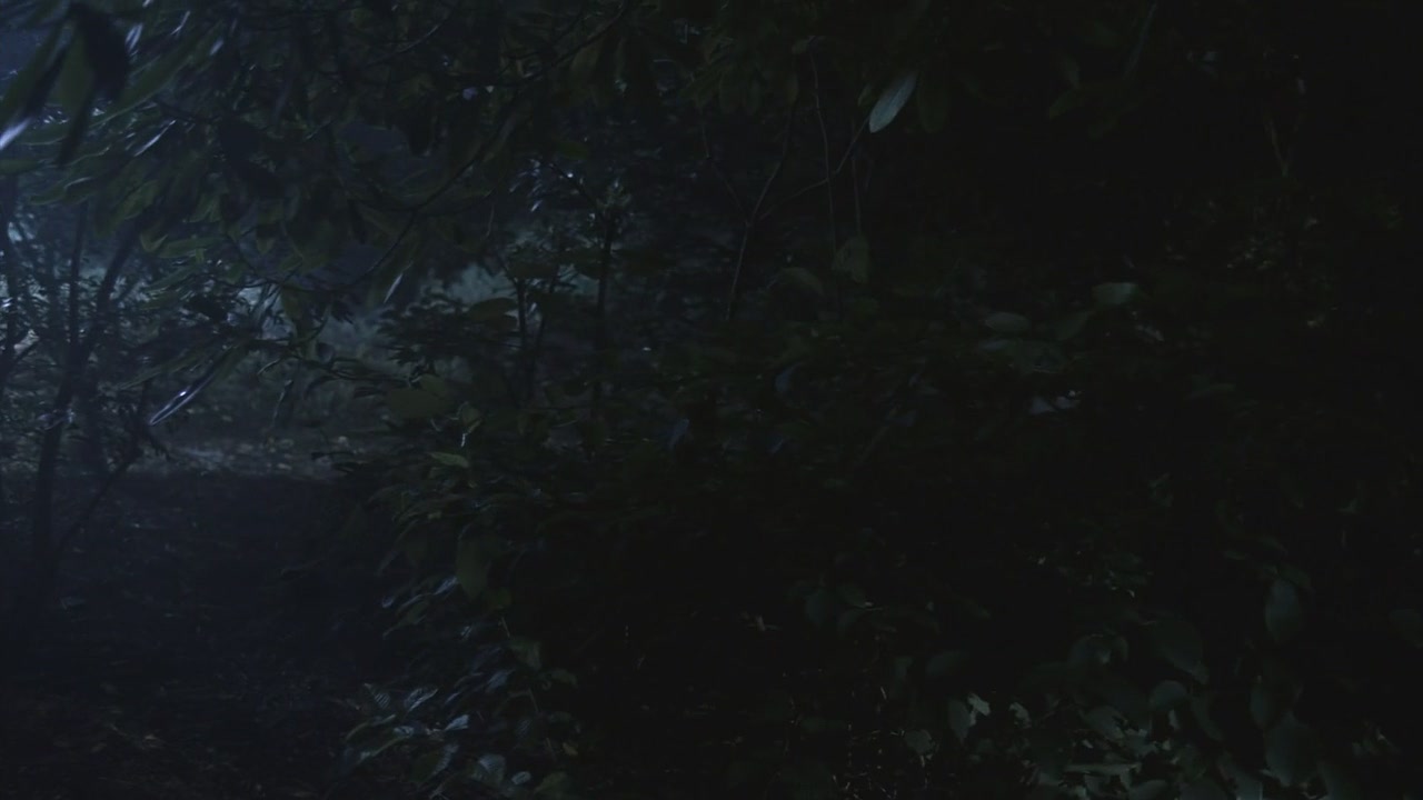 SPN_0984.jpg