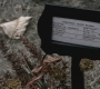 SPN_0133.jpg