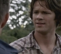 Filename=SPN_0160.jpg
Filesize=108KiB
Dimensions=1280x720
Date added=Sep 28, 2021 SPN_0160.jpg