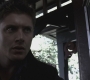 SPN_0336.jpg