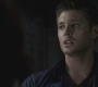 SPN_0442.jpg