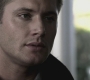 SPN_0499.jpg