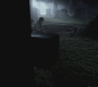 SPN_0571.jpg