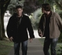 SPN_0656.jpg