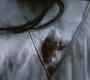 Filename=SPN_0927.jpg
Filesize=99KiB
Dimensions=1280x720
Date added=Sep 28, 2021 SPN_0927.jpg