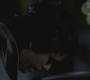 Filename=SPN_0948.jpg
Filesize=41KiB
Dimensions=1280x720
Date added=Sep 28, 2021 SPN_0948.jpg