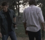Filename=SPN_1025.jpg
Filesize=124KiB
Dimensions=1280x720
Date added=Sep 28, 2021 SPN_1025.jpg