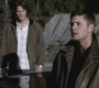 Filename=SPN_1067.jpg
Filesize=111KiB
Dimensions=1280x720
Date added=Sep 28, 2021 SPN_1067.jpg