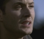 Filename=SPN_1080.jpg
Filesize=64KiB
Dimensions=1280x720
Date added=Sep 28, 2021 SPN_1080.jpg