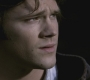 Filename=SPN_1091.jpg
Filesize=58KiB
Dimensions=1280x720
Date added=Sep 28, 2021 SPN_1091.jpg