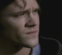 Filename=SPN_1110.jpg
Filesize=51KiB
Dimensions=1280x720
Date added=Sep 28, 2021 SPN_1110.jpg