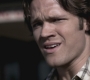 SPN_0497.jpg