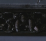 SPN_0470.jpg