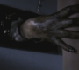 SPN_0474.jpg