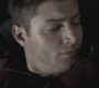 SPN_0486.jpg