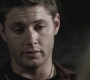SPN_0511.jpg