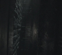 SPN_0696.jpg