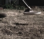 SPN_0842.jpg