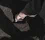SPN_0852.jpg