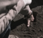 SPN_0856.jpg