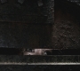 SPN_0919.jpg
