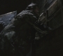 SPN_0923.jpg