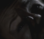 SPN_0924.jpg
