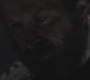SPN_0973.jpg
