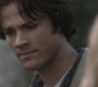 SPN_0996.jpg