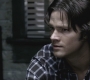 SPN_0137.jpg