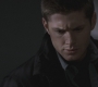 SPN_0304.jpg