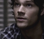 SPN_0358.jpg