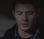 SPN_0455.jpg