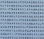 SPN_0608.jpg