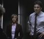 SPN_0686.jpg