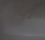 SPN_0738.jpg