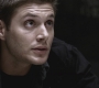 Filename=SPN_0810.jpg
Filesize=68KiB
Dimensions=1280x720
Date added=Sep 28, 2021 SPN_0810.jpg