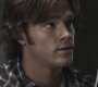 Filename=SPN_0864.jpg
Filesize=77KiB
Dimensions=1280x720
Date added=Sep 28, 2021 SPN_0864.jpg