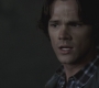 Filename=SPN_1118.jpg
Filesize=45KiB
Dimensions=1280x720
Date added=Sep 28, 2021 SPN_1118.jpg