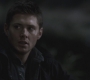 Filename=SPN_1119.jpg
Filesize=36KiB
Dimensions=1280x720
Date added=Sep 28, 2021 SPN_1119.jpg