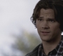 Filename=SPN_1127.jpg
Filesize=71KiB
Dimensions=1280x720
Date added=Sep 28, 2021 SPN_1127.jpg