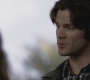 Filename=SPN_1154.jpg
Filesize=69KiB
Dimensions=1280x720
Date added=Sep 28, 2021 SPN_1154.jpg