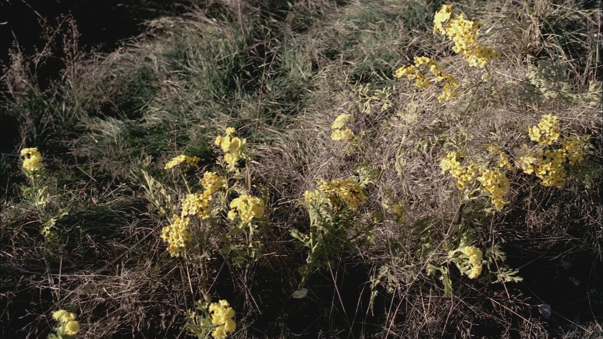 SPN_0359.jpg