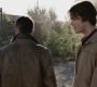 SPN_0363.jpg