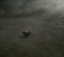 SPN_0445.jpg