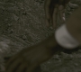 SPN_0446.jpg