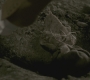 SPN_0448.jpg