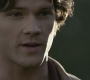 SPN_0504.jpg