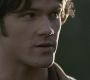 SPN_0505.jpg