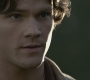 SPN_0507.jpg